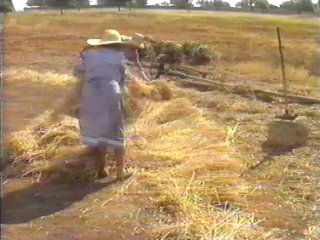 CAMPO - (88)